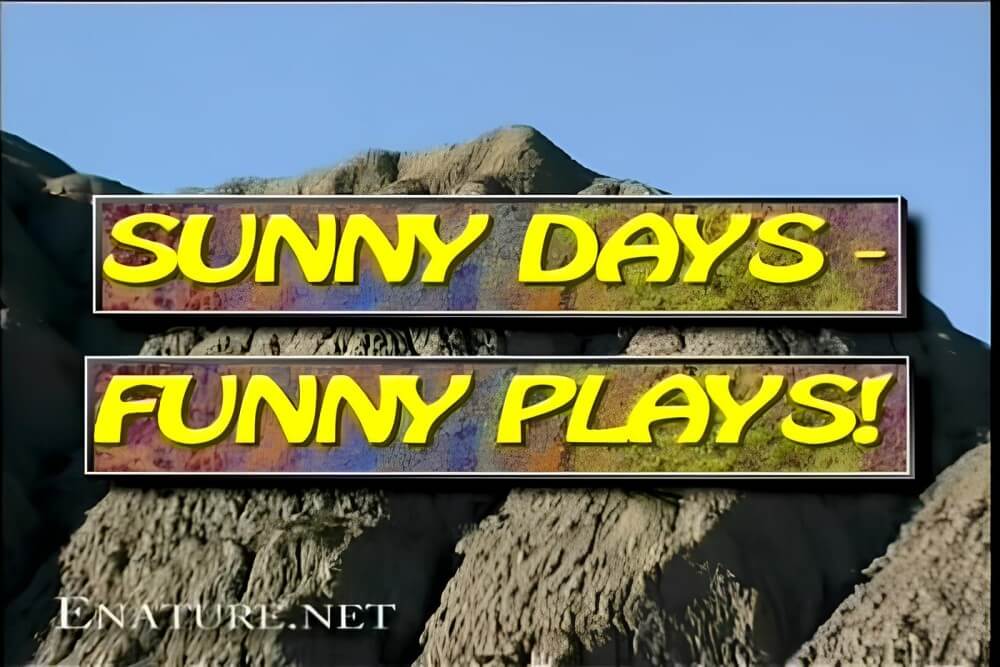 Enature - Sunny Days – Funny Plays - Nudity is perceived as part of natural existence and the beauty of life