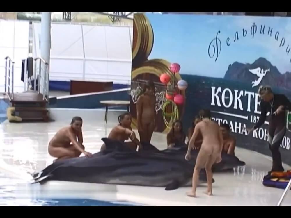Relaxing at the dolphinarium - Freedom of choice is important for anyone who wishes to become a naturist