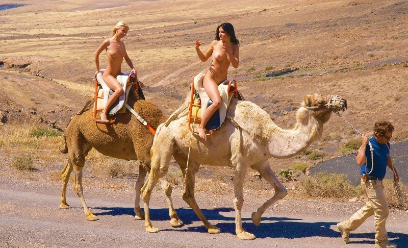 Funny Moments Life pics - Human nature in its original form